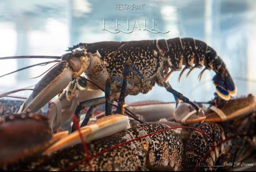 Le Brise Lame Maison Neuve A 2 Pas De La Plage 勒波泰勒 外观 照片