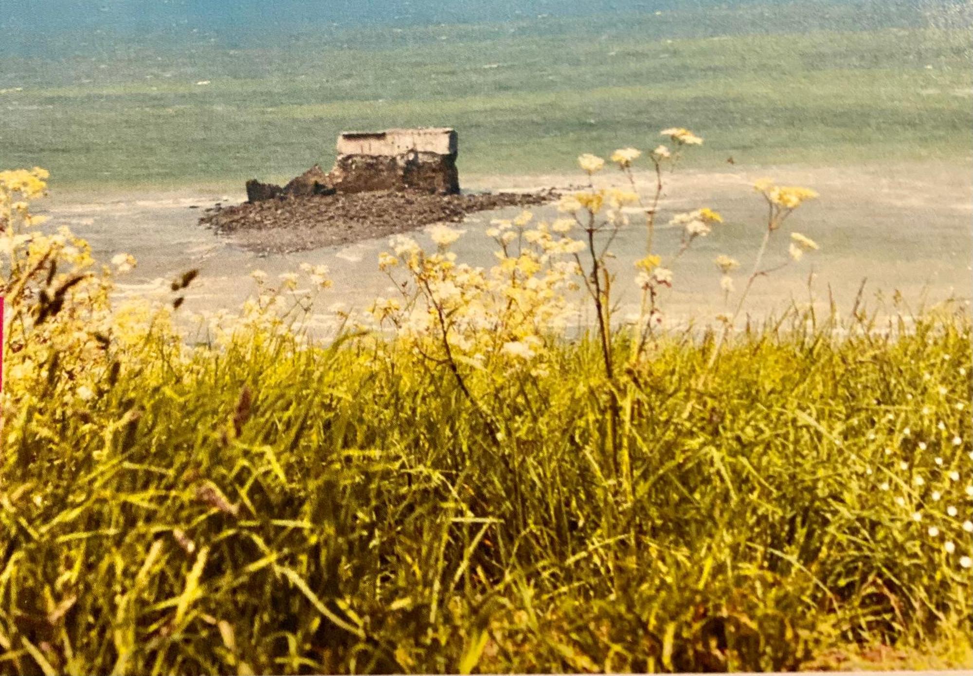 Le Brise Lame Maison Neuve A 2 Pas De La Plage 勒波泰勒 外观 照片